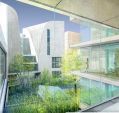 Projet ple universitaire